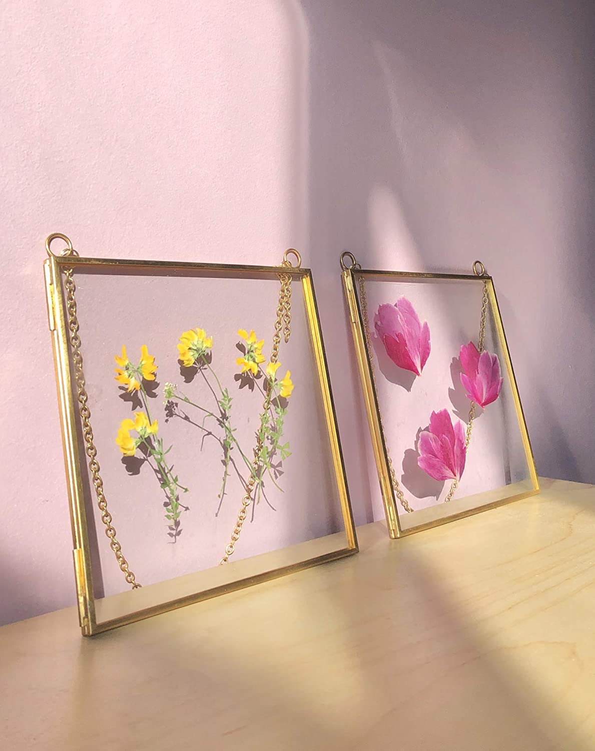  Beedecor Double Glass Frame for Pressed Flowers, Leaf and  Artwork - Set of 2 Hanging Picture Frames, Tempered Glass Floating Pressed  Flower Frames, Large Rectangular Wall Decor Photo Display, Clear