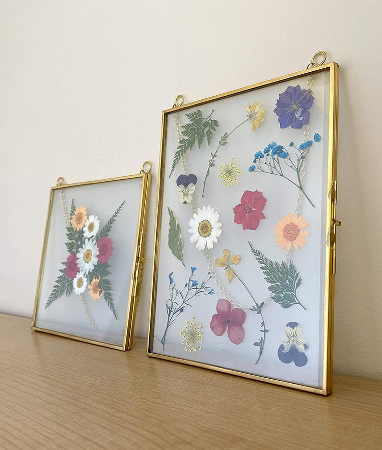 Hanging Double Glass Frames | Set of 3 Collection - 6x6, 6x8, 4x9