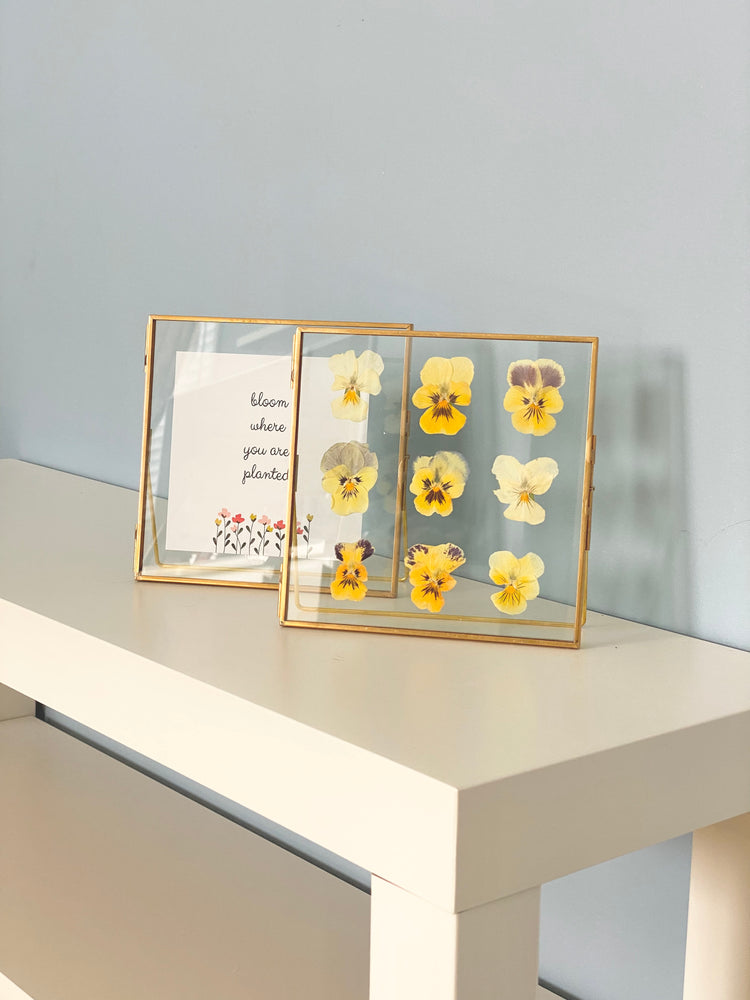 Standing Double Glass Frames | Metal Floating Picture Frame | Set of 2