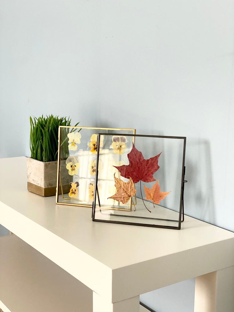 Standing Double Glass Frames | Set of 3 Collection - 6x6, 5x7, 6x8