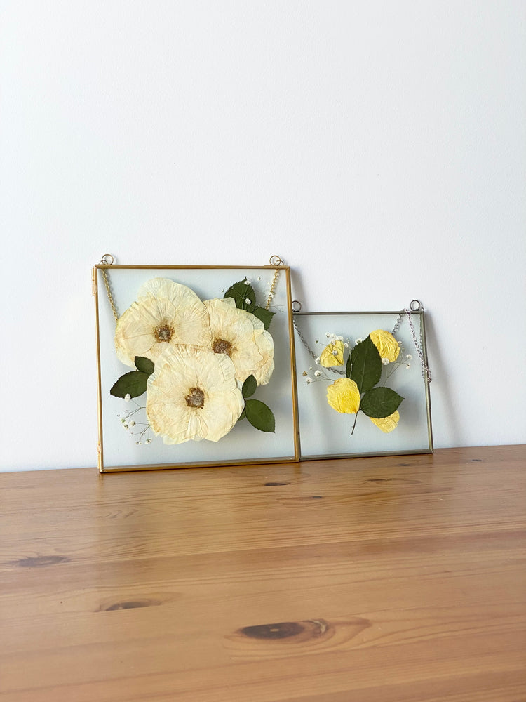 Hanging Double Glass Frames | Square Floating Picture Frame | Set of 2