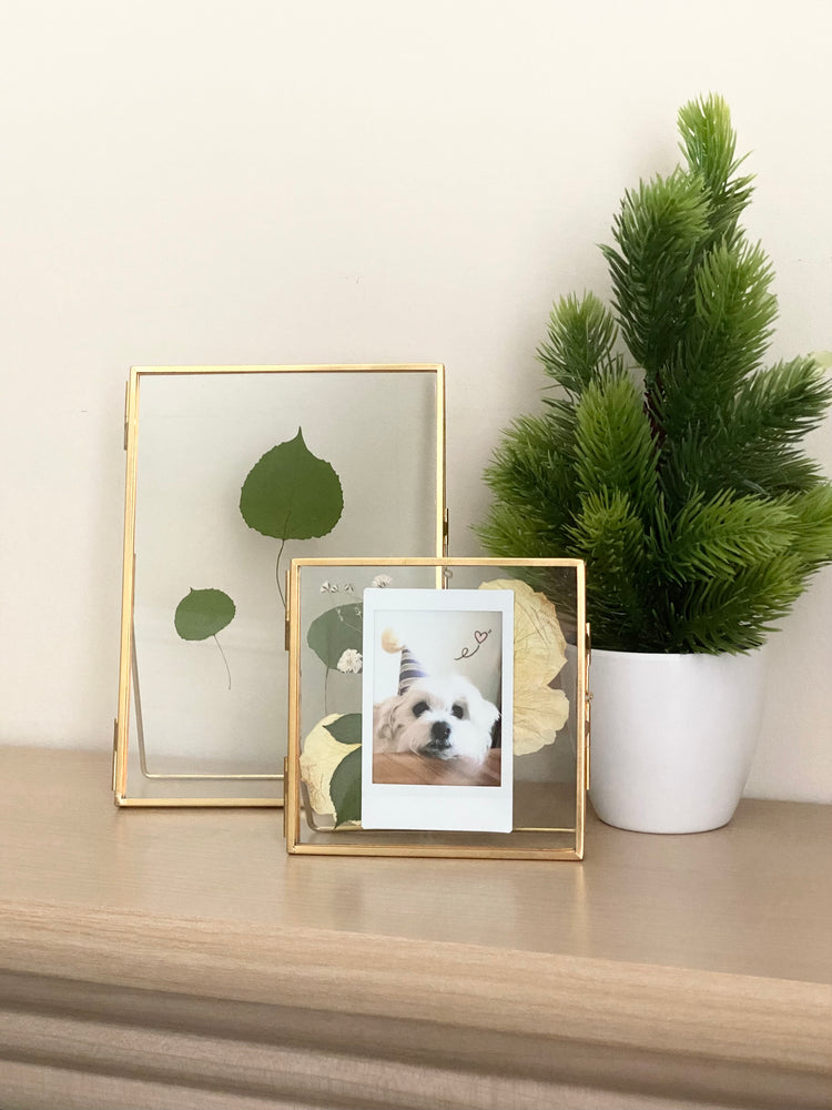 Standing Double Glass Frames | Set of 3 Collection - 6x6, 5x7, 6x8