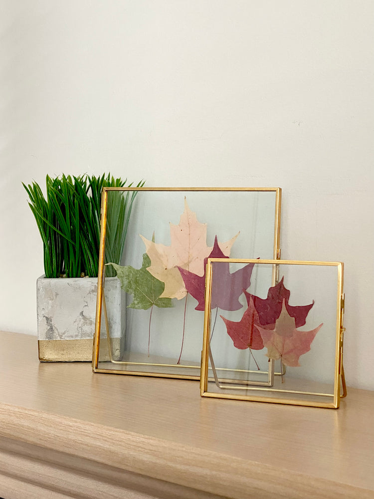 Standing Double Glass Frames | Metal Floating Picture Frame | Set of 2