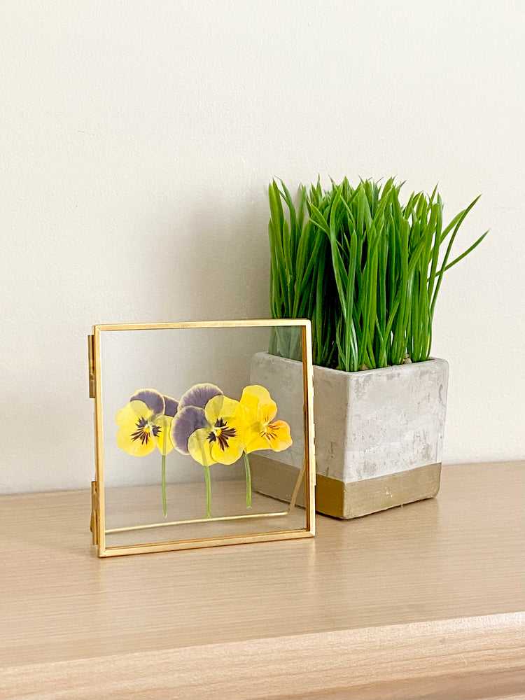 Standing Double Glass Frames | Metal Floating Picture Frame | Set of 2