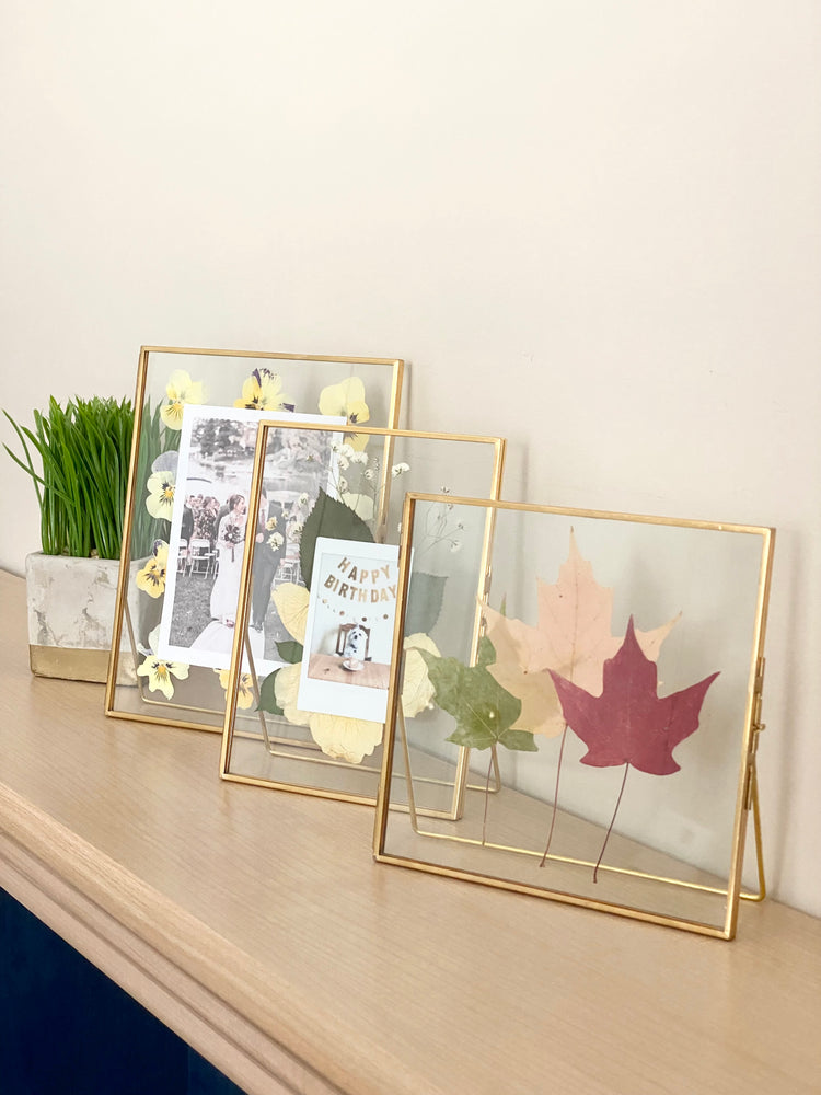 Standing Double Glass Frames | Set of 3 Collection - 6x6, 5x7, 6x8