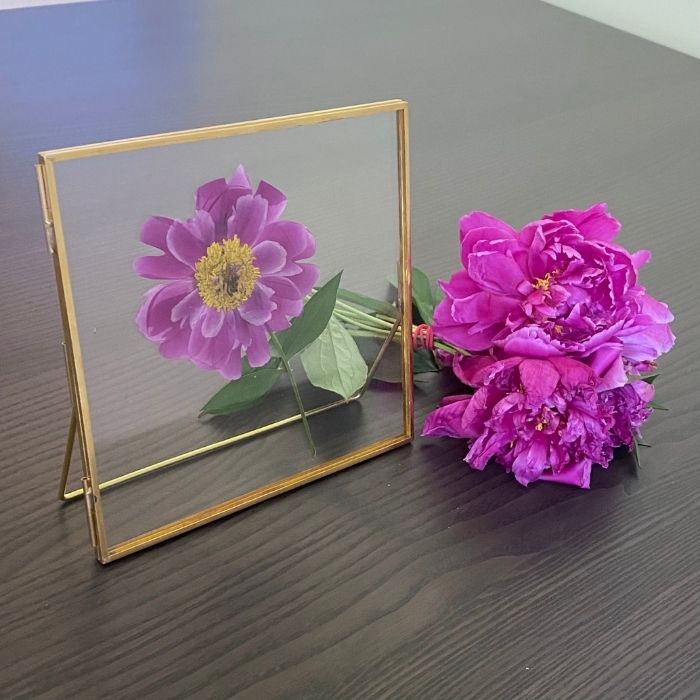 Standing Double Glass Frames | Metal Floating Picture Frame | Set of 2